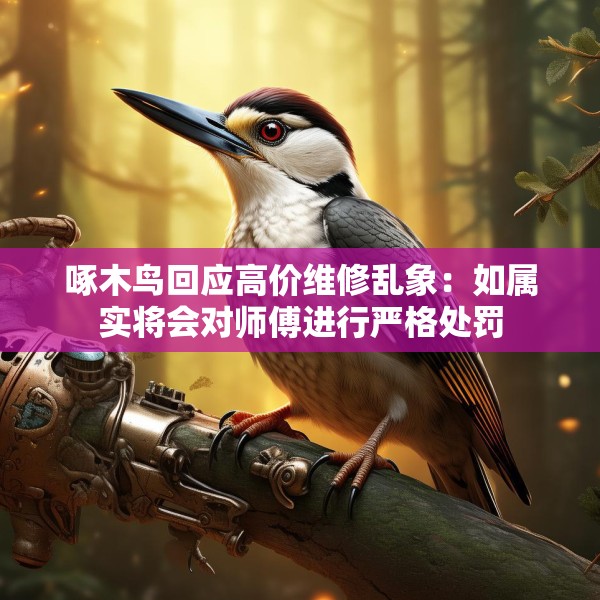 啄木鸟回应高价维修乱象：如属实将会对师傅进行严格处罚
