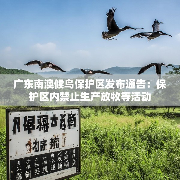 广东南澳候鸟保护区发布通告：保护区内禁止生产放牧等活动